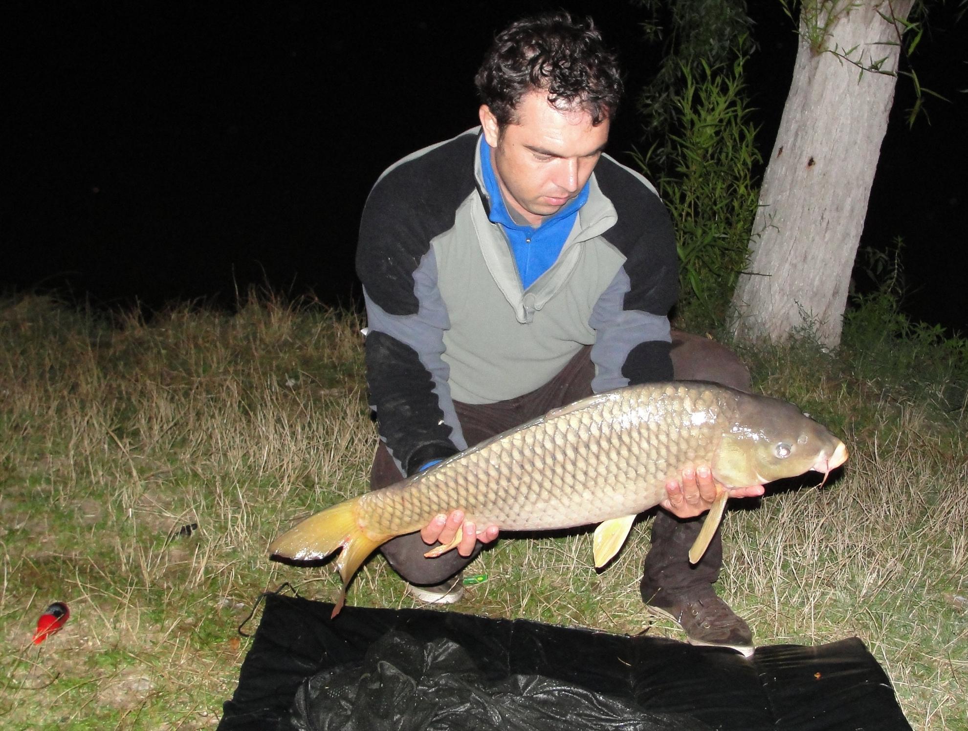 Moara Vlasiei 2 15 - 16 aug. - dsc06848.JPG